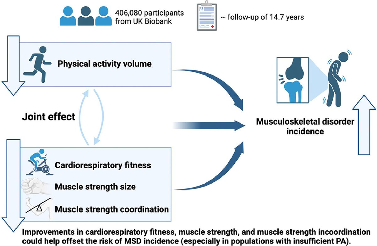 Journal of Sport and Health Science (JSHS) (@jshs_medhealth) on Twitter photo Association of physical activity, cardiorespiratory fitness, grip strength, and grip strength asymmetry with incident musculoskeletal disorders in 406,080 White adults
doi.org/10.1016/j.jshs… Association of physical activity, cardiorespiratory fitness, grip strength, and grip strength asymmetry with incident musculoskeletal disorders in 406,080 White adults
doi.org/10.1016/j.jshs…
