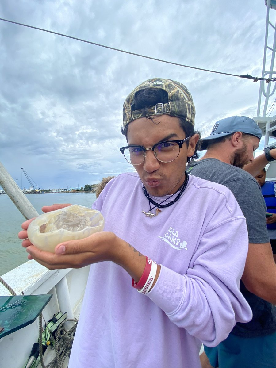 Cannonball Jellyfish!!!! 🪼 
#SeaCamp <a href="/AggiesByTheSea/">Texas A&M Galveston 👍🌊</a>