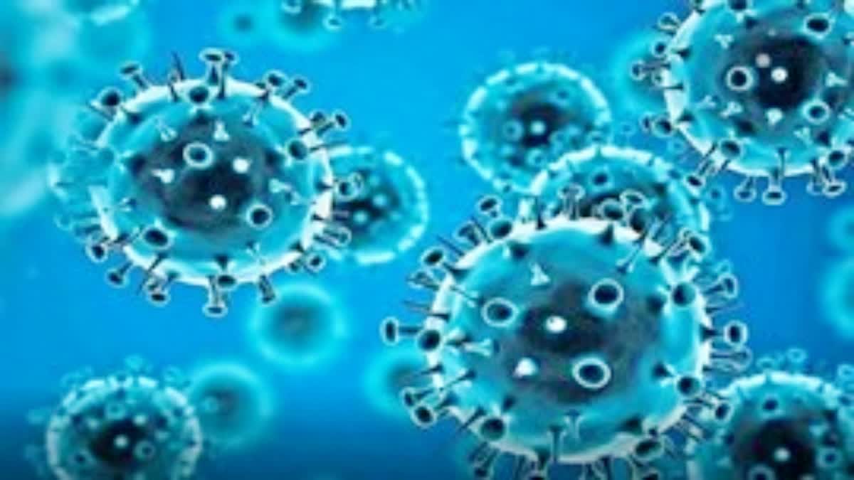 ETVBharatUK's tweet image. उत्तराखंड में मिले कोरोना के 3 नए मरीज, 70 पहुंची संक्रमित मरीजों की संख्या 
#DehradunNews #CoronaCase #UttarakhandCoronaCase #UttarakhandNews
पढ़ें-etvbharat.com/hi/!state/new-…