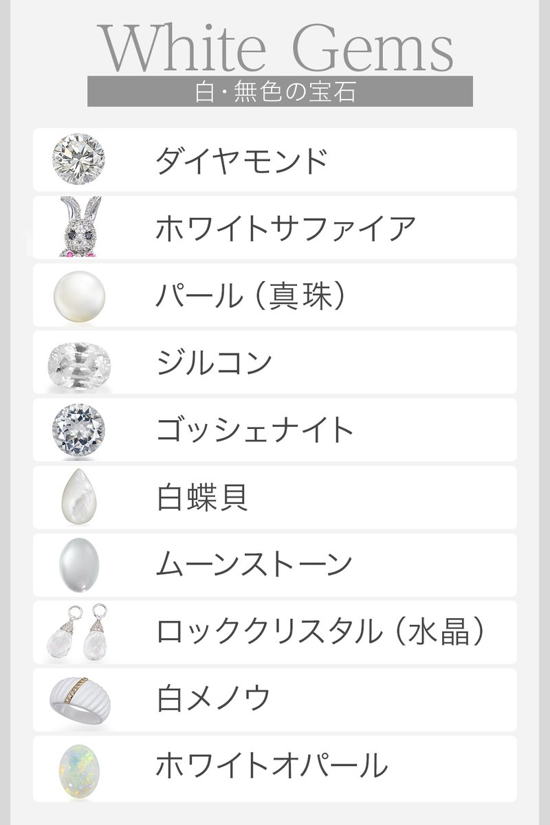 アクセサリー VS ZX-195 公式限定フリースポーチ付 | ZEXUS公式サイト | ゼクサス