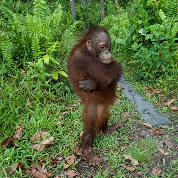 What you do in 1 day I do it in 24 hrs🤑
#fyp #iran #twitch #kick #zen #streamer