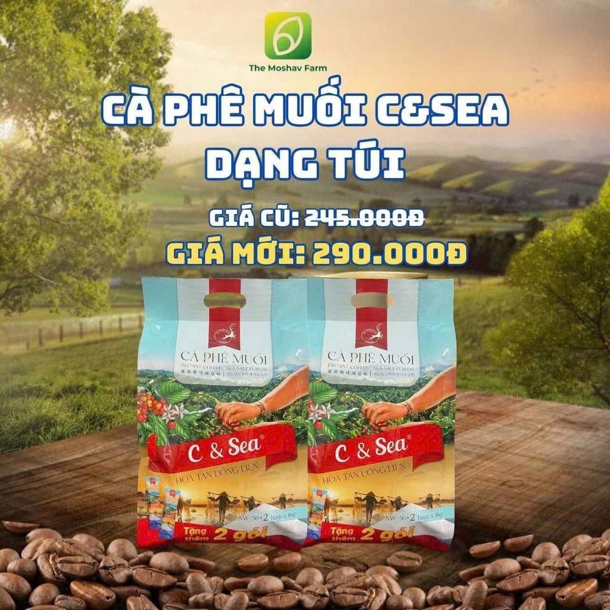 Thuỷ Ngũ Hành Le Plateau | Nelly tweet media