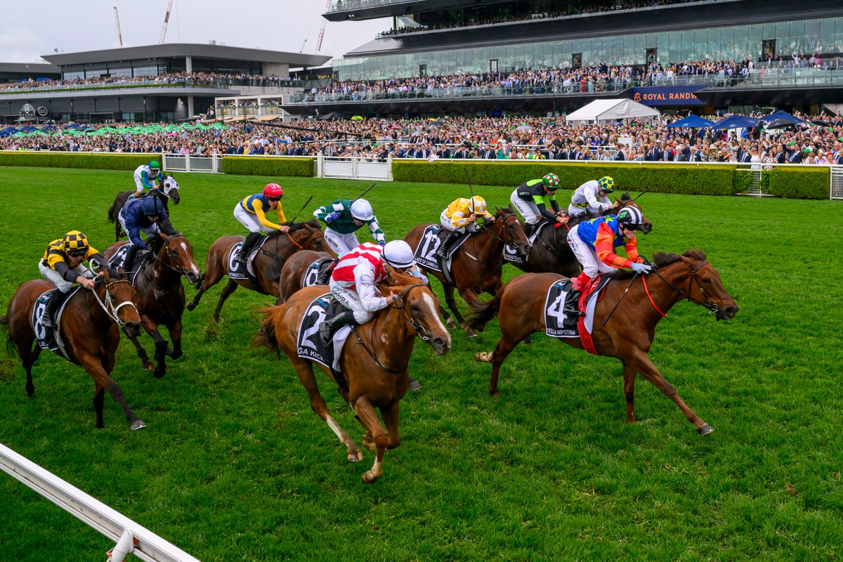 Mulberry Racing has been announced by Racing NSW as new slotholder in The TAB Everest - tinyurl.com/493hy9uw