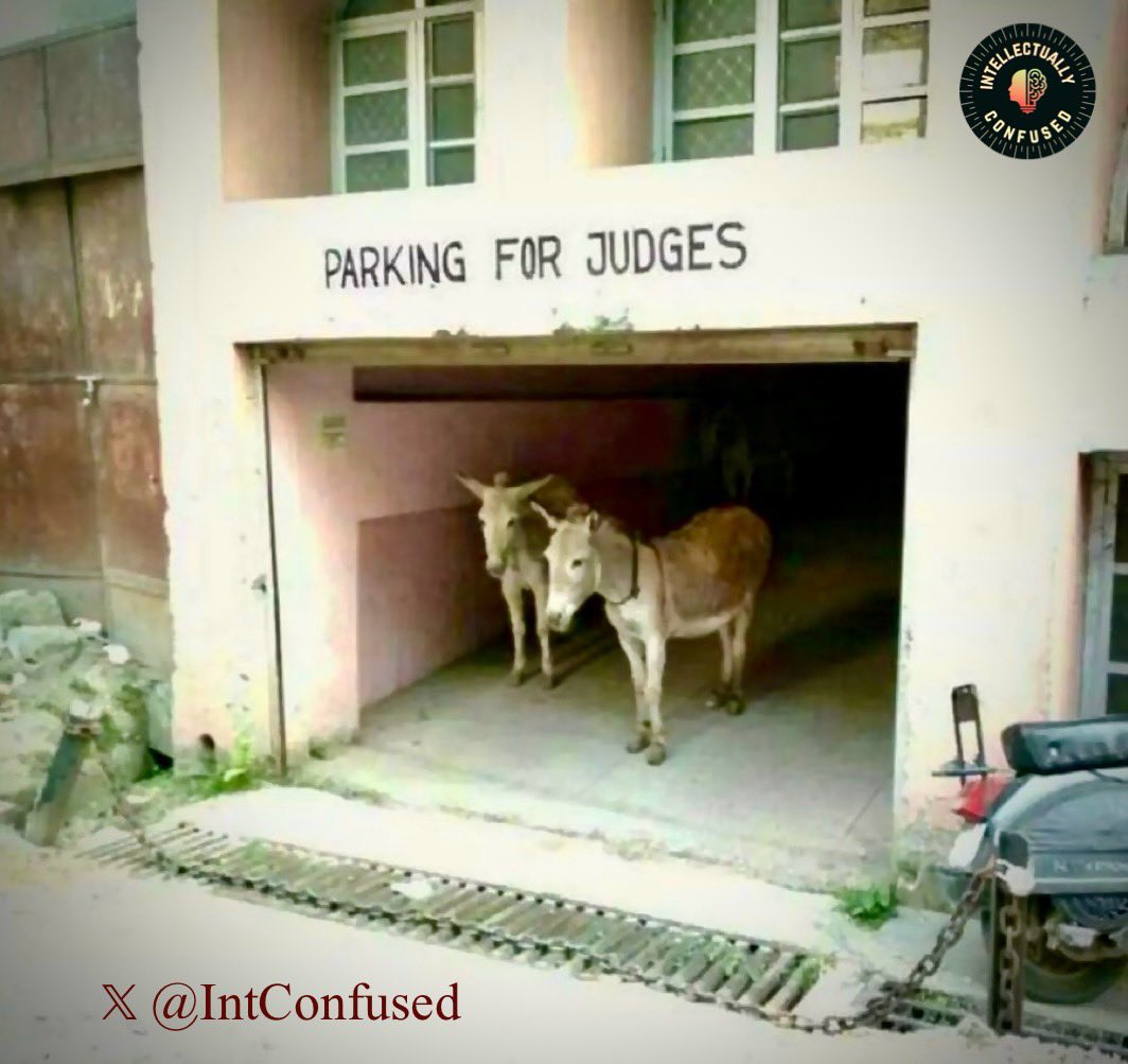 IntConfused's tweet photo. The phrase โA picture is worth a thousand wordsโ is justified in this photograph๐คฃ๐๐๐
#humor #AnimalHumour #PictureOfTheDay https://t.co/0QjAlHN5WQ