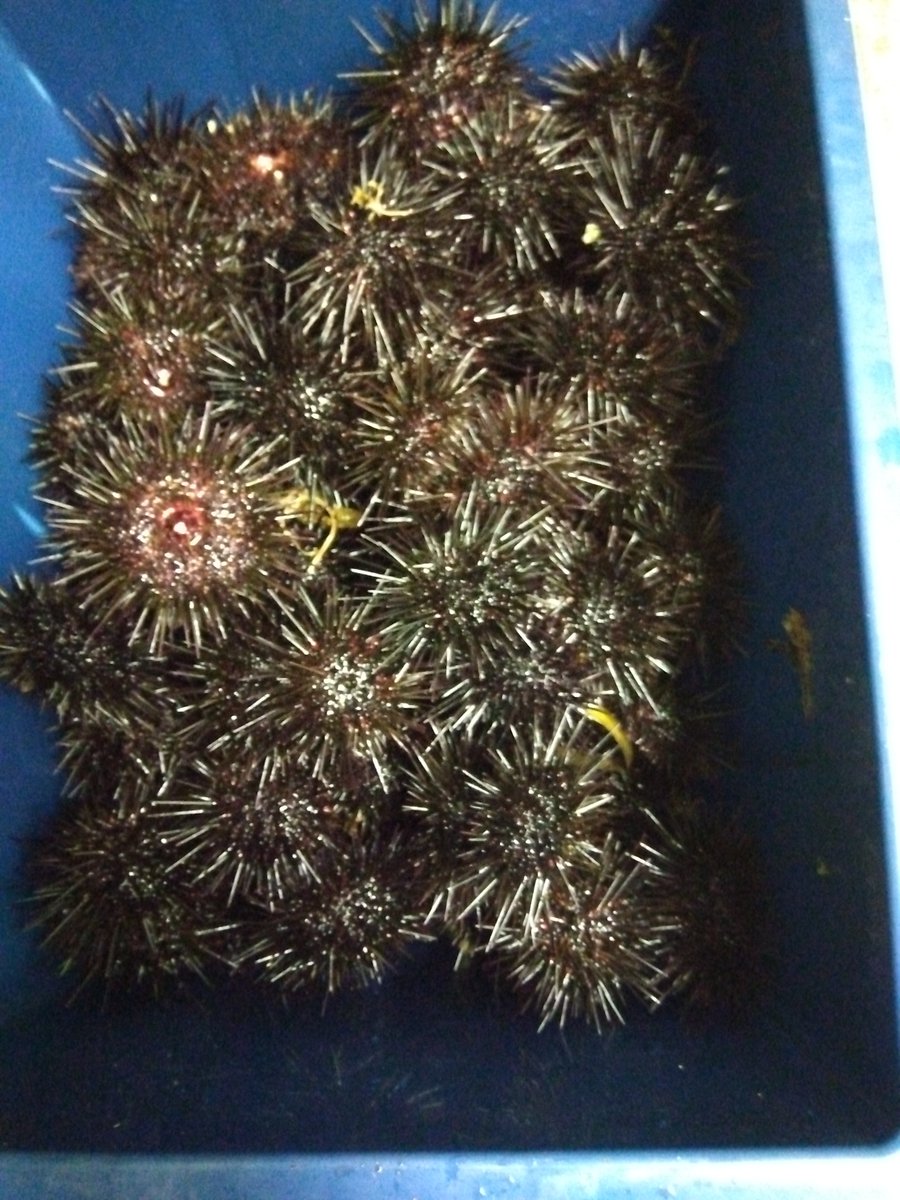 青函トンネル記念館 tweet media