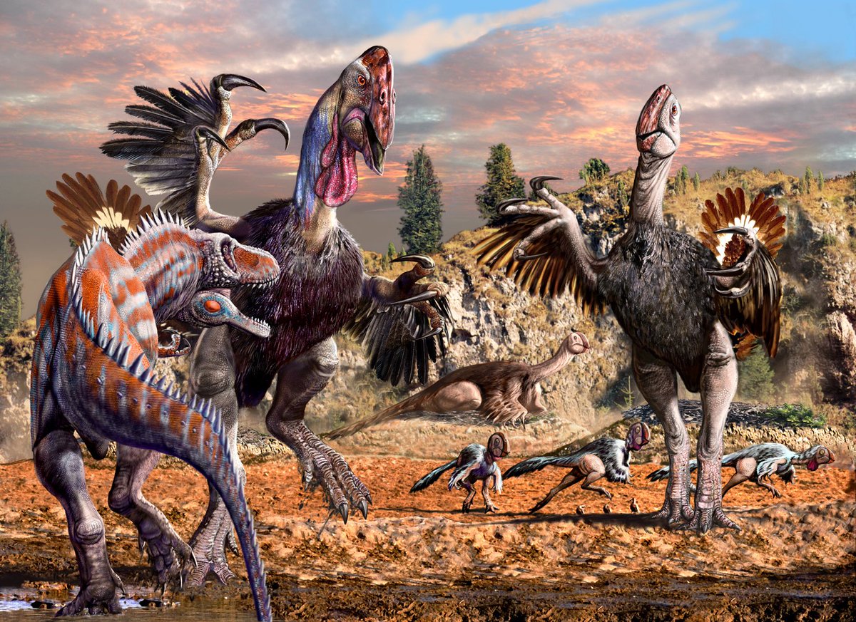 The Utahraptor Enthusiast 🦖🧬👾🐲 tweet media