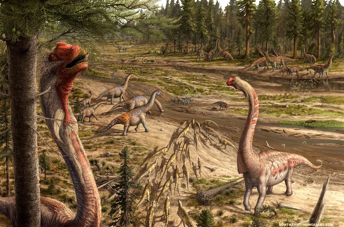 The Utahraptor Enthusiast 🦖🧬👾🐲 tweet media