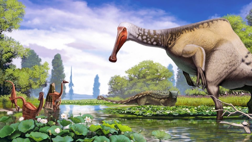 The Utahraptor Enthusiast 🦖🧬👾🐲 tweet media