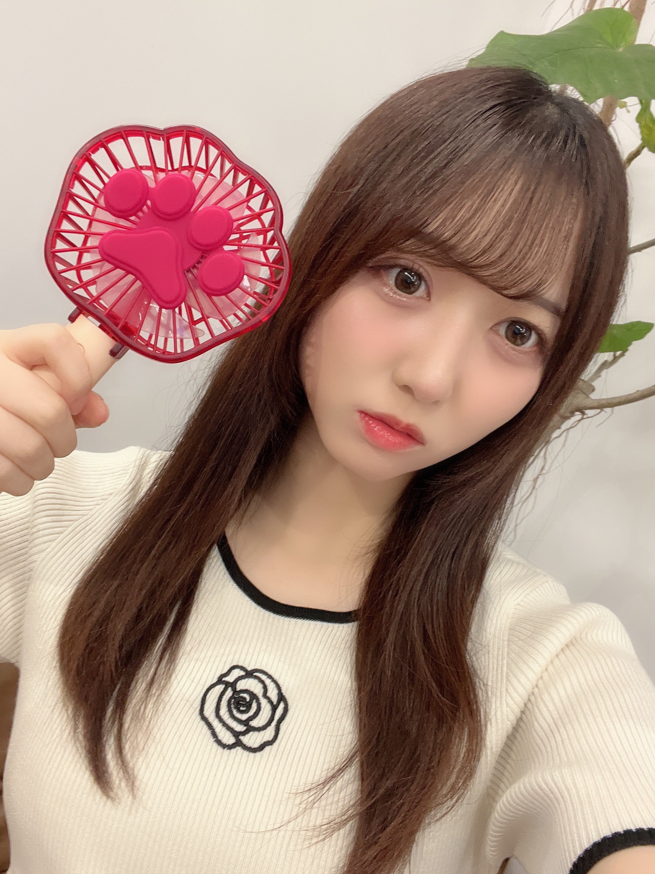 ズートピア ハンディーファン アイスキャンディー 扇風機 ズートピアの可愛いハンディファンおすすめ | TikTok