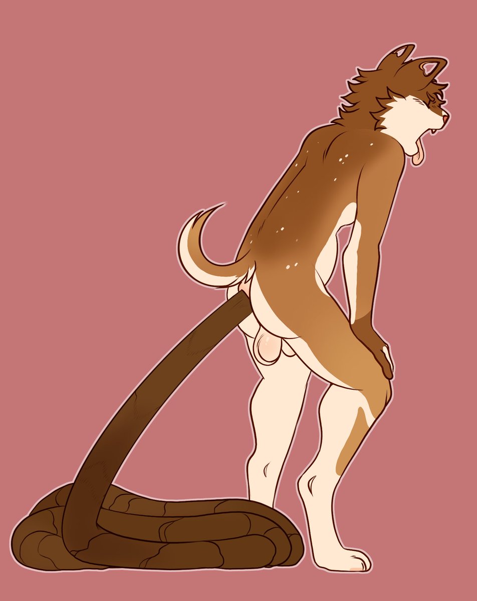 ThatCreamCat's tweet photo. Back again ;) https://t.co/V5MKAjkWzS