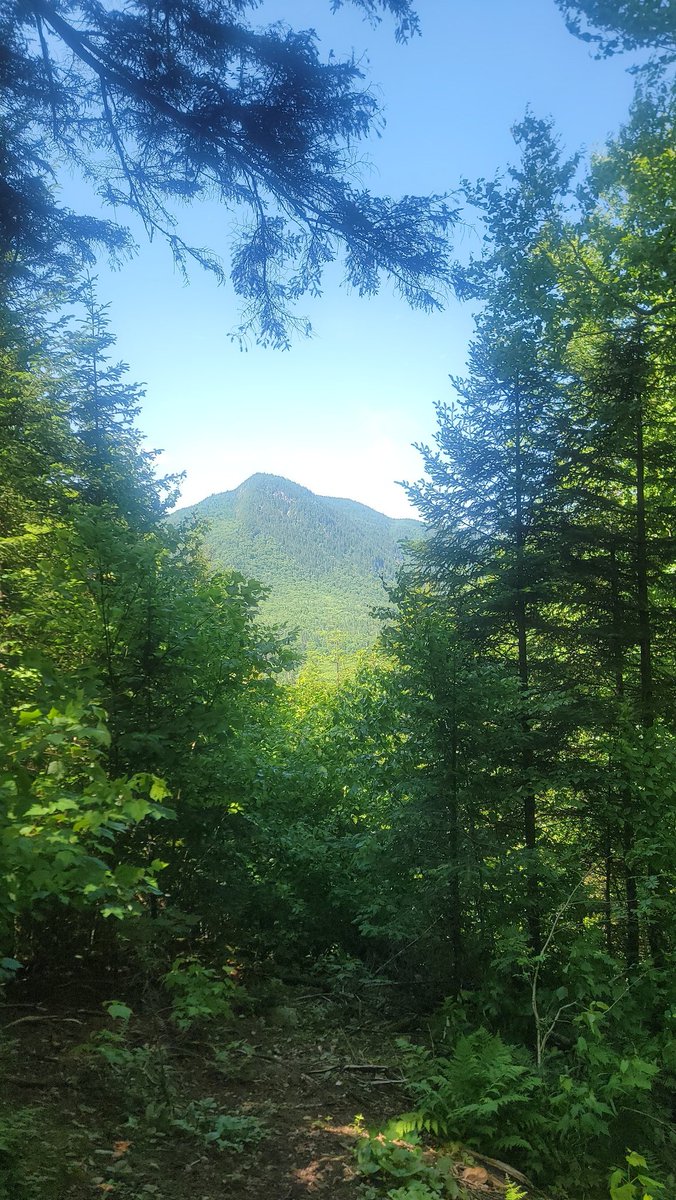 So ive been outside cant say i havent touched grass now!