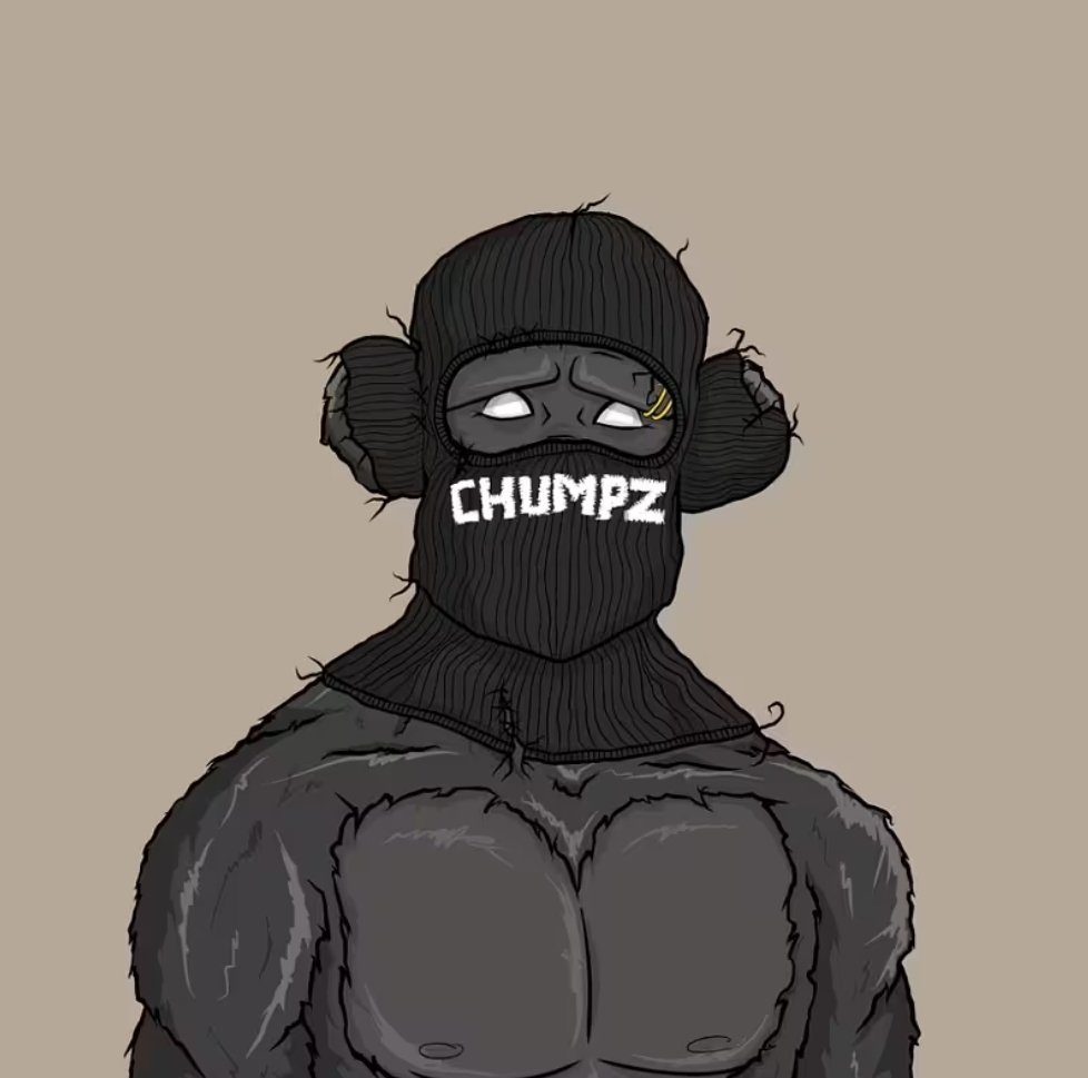 You Call It The Trenches ⚠️
We Call It The Chumpzyard 🦍