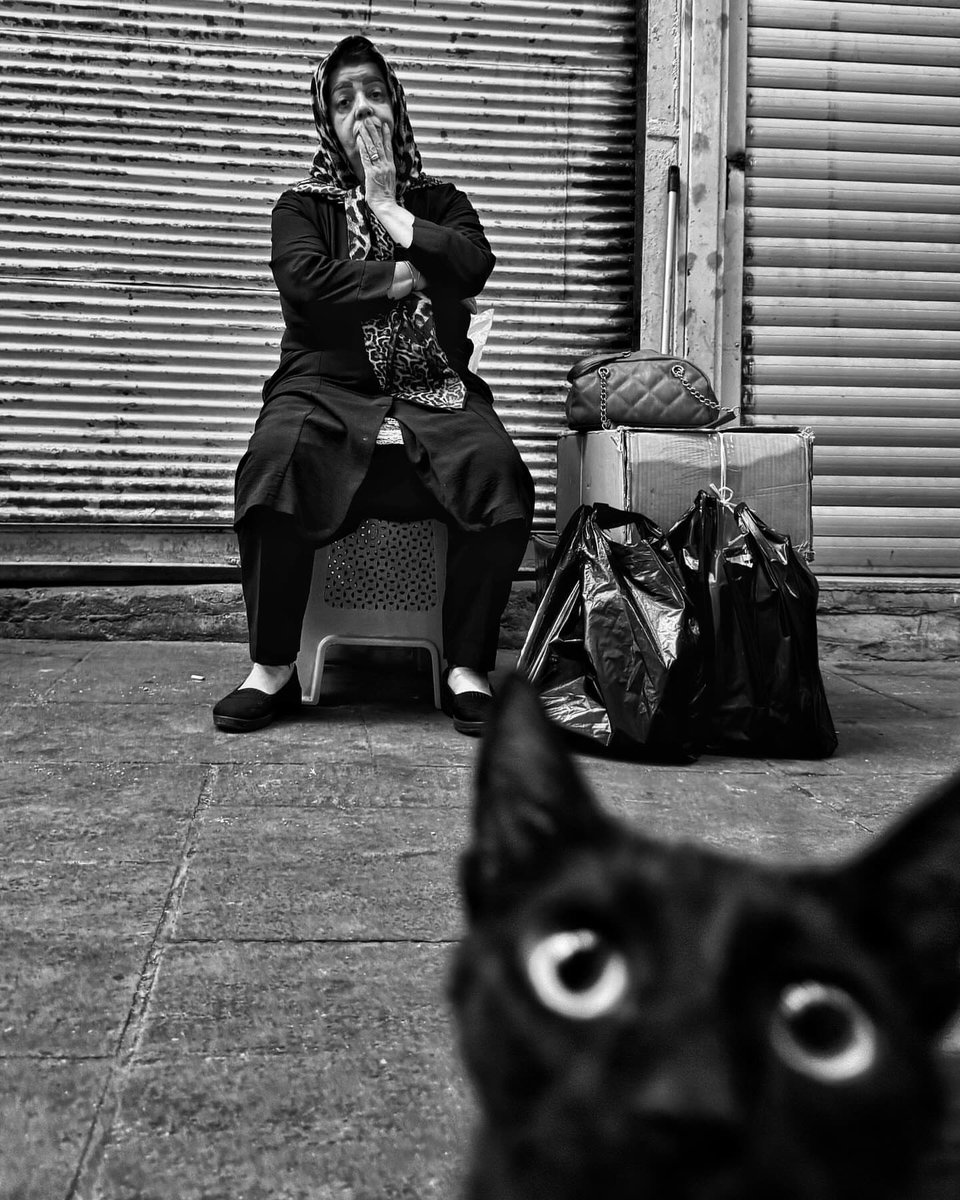 عکس از اکبر مهری‌نژاد