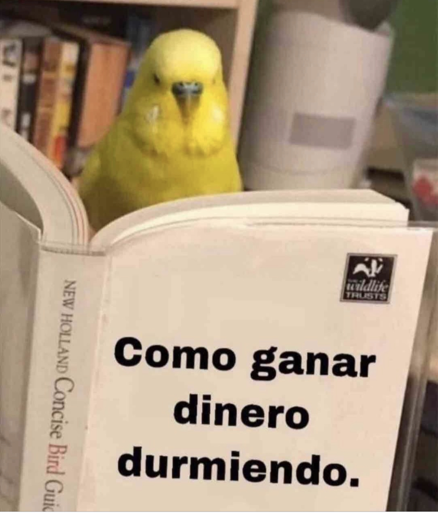 Guarromantico_'s tweet photo. Me interesa. https://t.co/BvsMDrk9W1