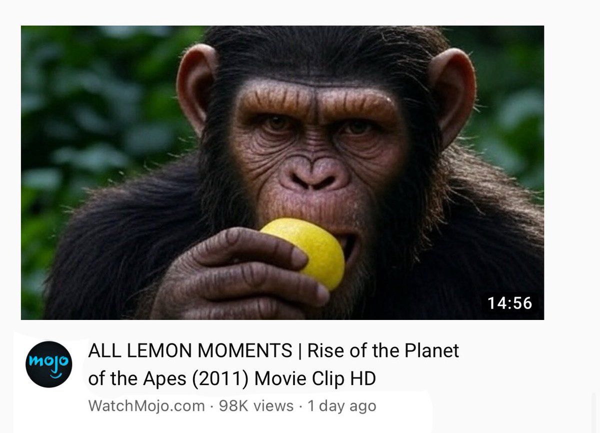 Shane 🦧 243 days until Avatar 3 (@themonkeyjungle) on Twitter photo 