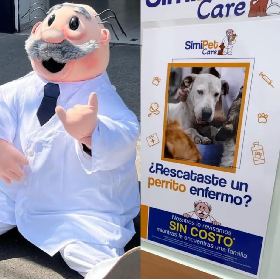 ¿Rescataste un perrito enfermo? en las Farmacias Similares que tengan SimiPet la consulta no tendrá costo ✨

Una gran  iniciativa que ayudará a qué pasa aquellas personas que tienen buen corazón y rescatan a los animalitos de la calle 🙏🏽