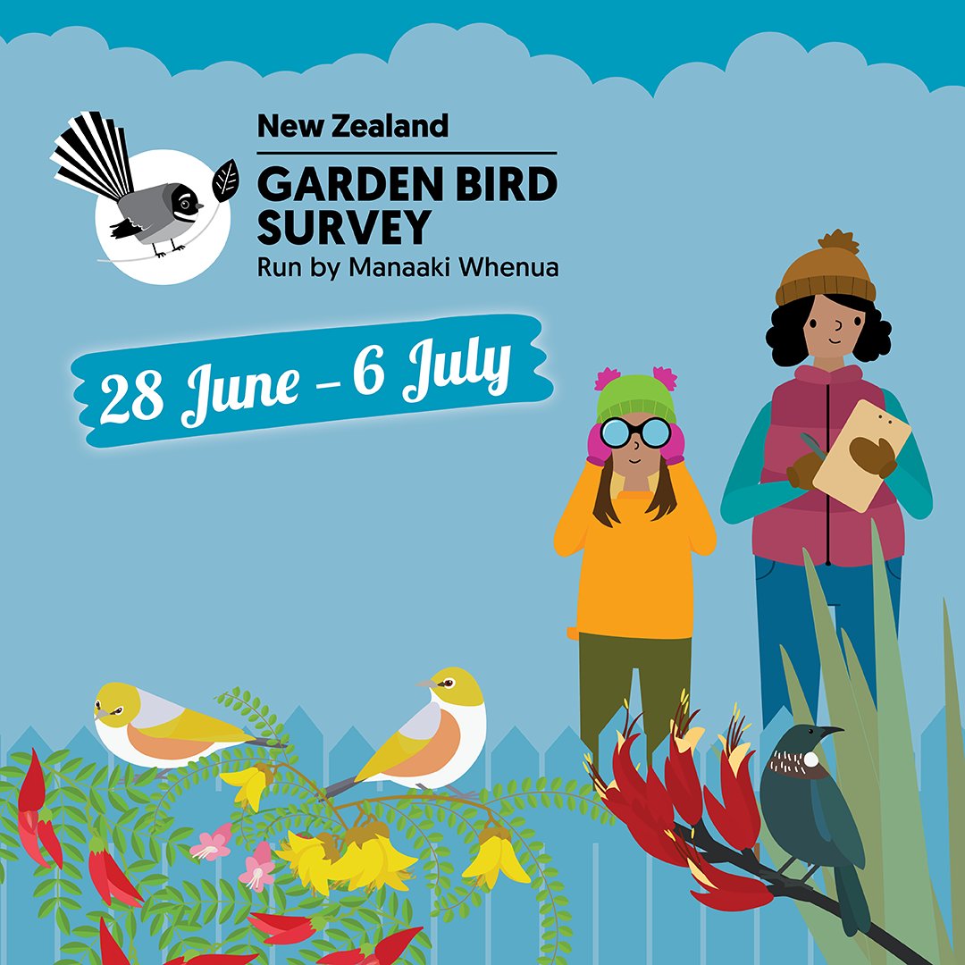 Mark your calendar! Starting 28 June the NZ Garden Bird Survey is back! 

This citizen science project has been running since 2014, &amp; all it takes is one hour of birdwatching in your garden to help build a picture of our environmental health.
 
Learn more: bit.ly/4nbxR89