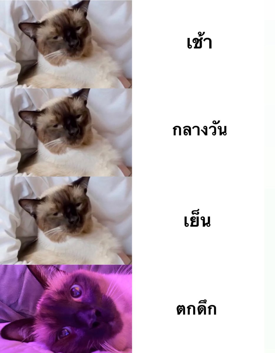 กาเบม (@poo9932) on Twitter photo 