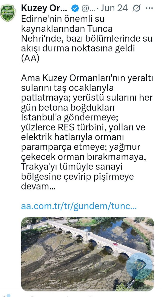 Mine Ece Trak (@nedenokuyorum) on Twitter photo 