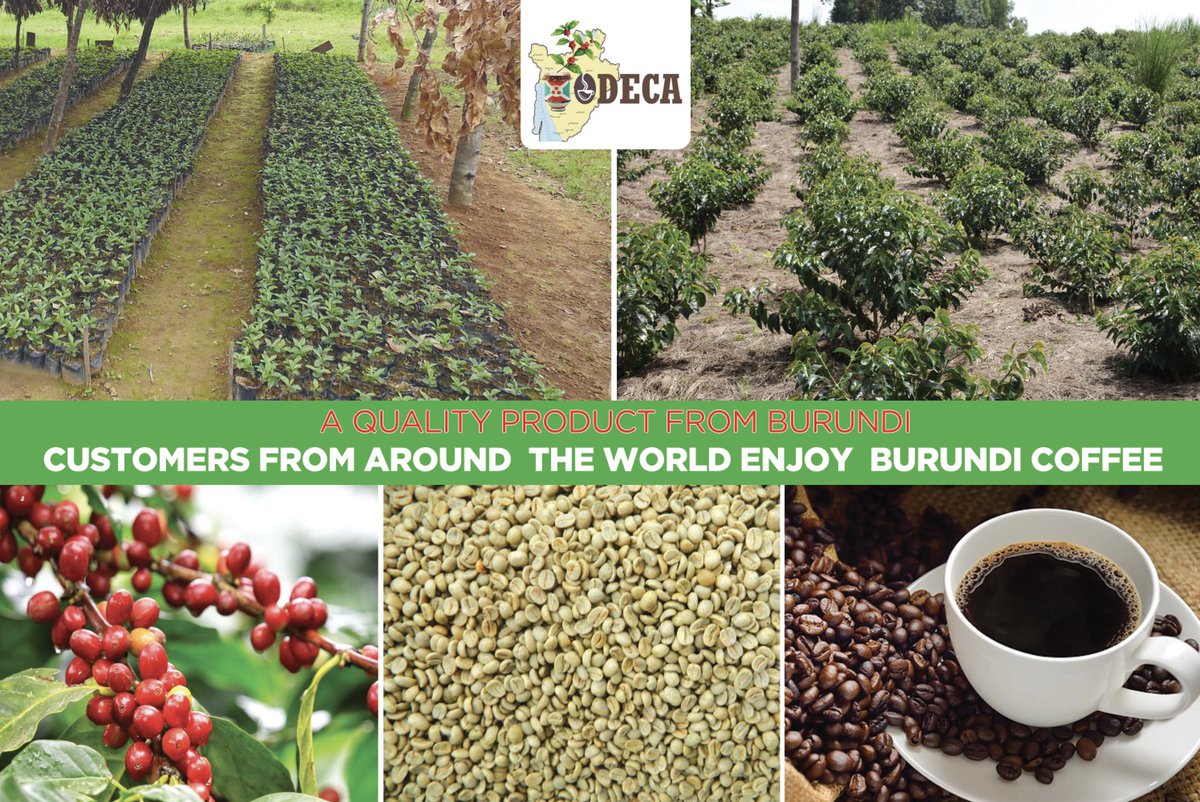 #Burundi Arabica Coffee, #Single #Origin. #Specialtycoffee #CoffeeLovers