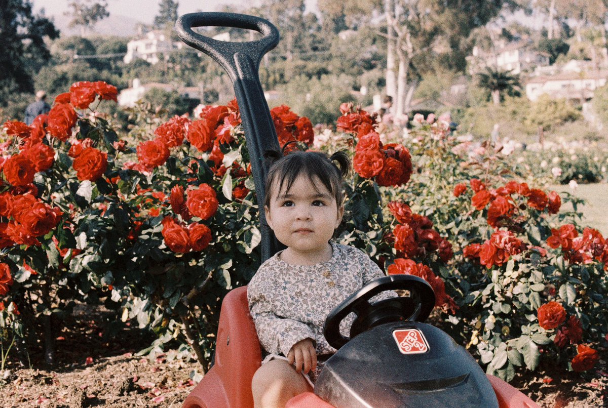 Flowers In December.