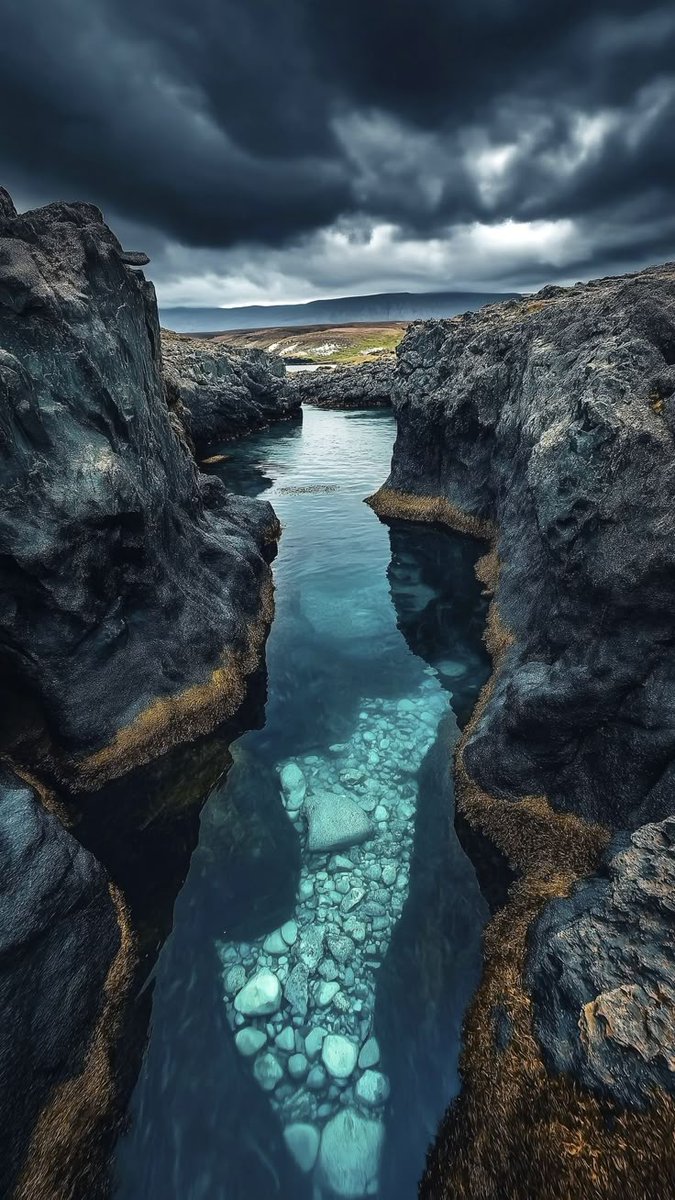 Nature Beauty (@naturebeautyh) on Twitter photo 