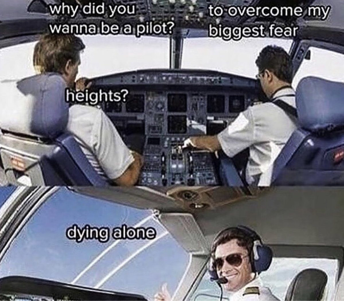🤣🤣🤣