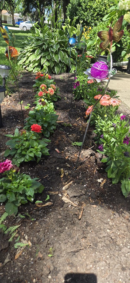 a_mann55's tweet image. 