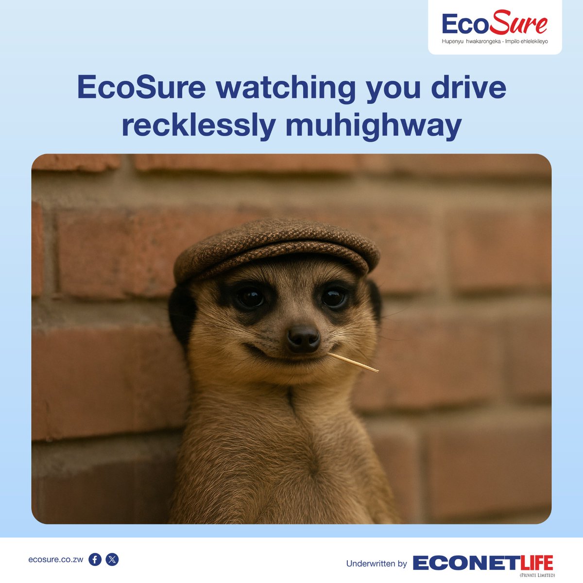 Apa hauna funeral cover. Gara wanyoresa paEcoSure, uwane funeral cover nemutengo wakaderera kutangira pa75 cents. Chaya *900# nhasi.