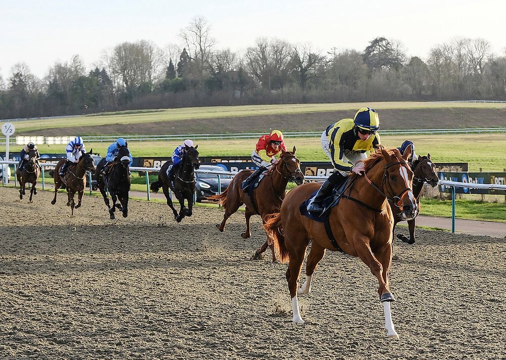 BigBallsNags's tweet image. 🟨 4:10 Newmarket – Cracking Gold (E/W) @ 12/1 (4 places – Bet365)
Each-way players may find some real value in Cracking Gold, who lines up here for Clive Cox with Rossa Ryan taking the reins – a combination that boasts a solid strike rate and knows how to get one ready for…