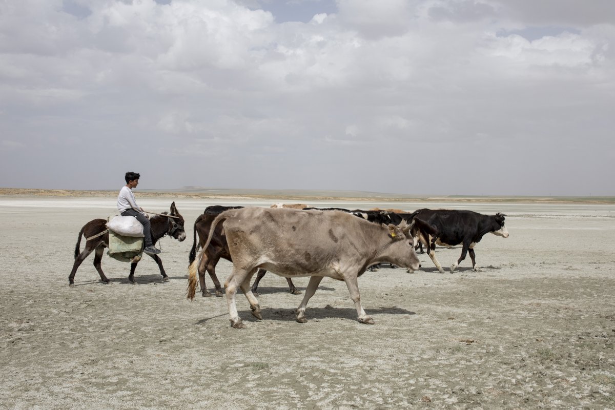 La provincia turca de Konya, en Anatolia central, es la principal fuente de agricultura de Turquía, pero durante las últimas dos décadas se ha visto afectada por la aparición de enormes agujeros en los campos de la zona. 
Primary 
📸 Edu Ponces