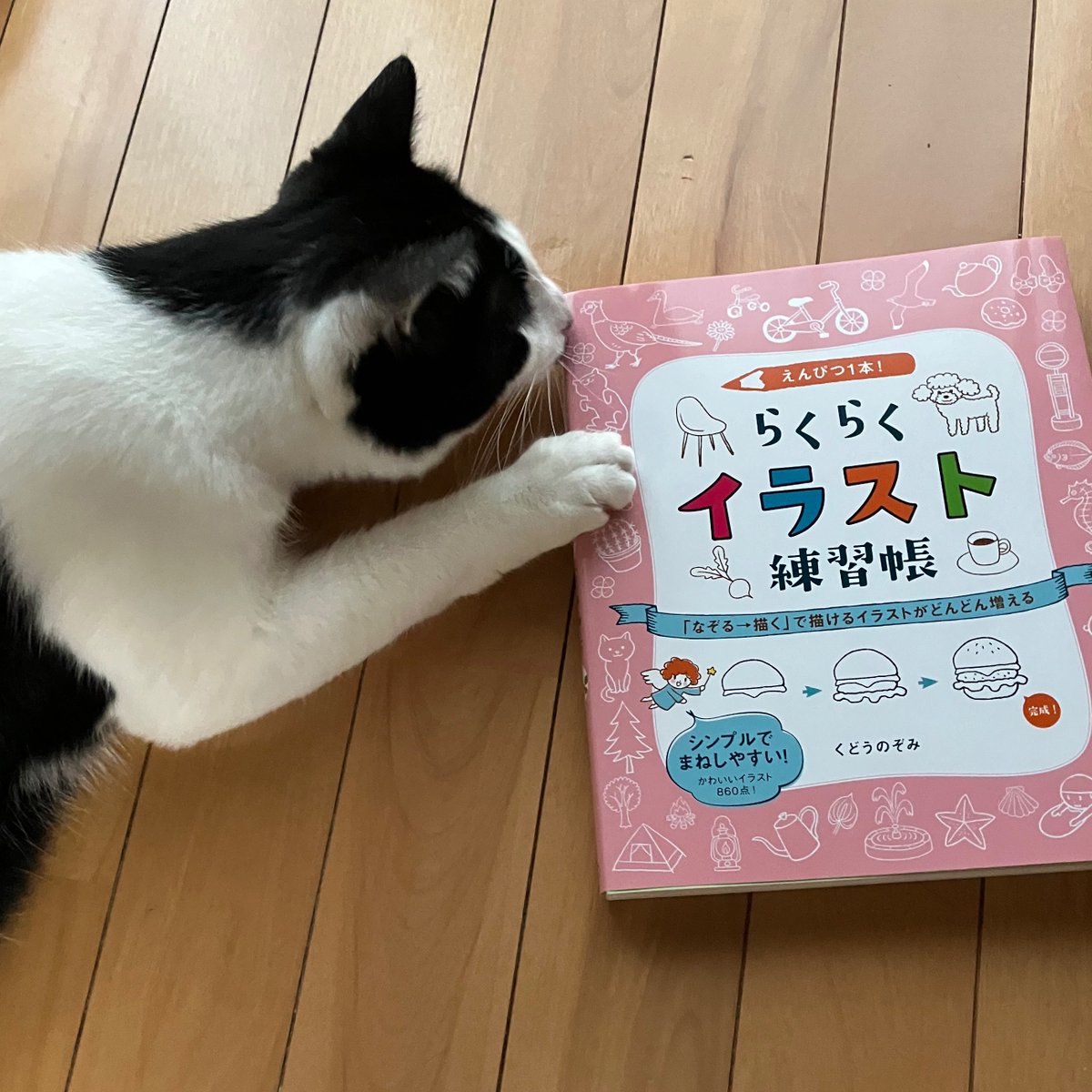 ありがたいことに６刷になりました
今これをもう一度作れるかと言われたら正直しんどい…💦

「続らくらくイラスト」の方も更に頑張って作りました
kindleunlimitedメンバーの方はどちらも¥0なのでチラッと見てみてね！見るだけでも！🙇