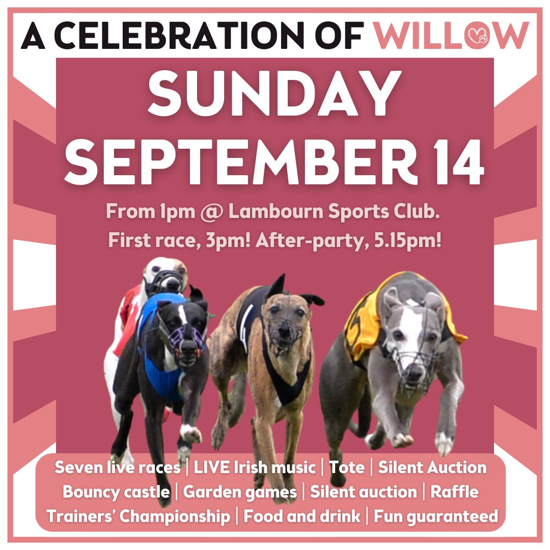 With no regret, I've decided to postpone A Celebration of Willow #2.

New date:

🗓️ Sunday, September 14 🗓️

It's now forecast to be way too hot to even consider hosting a dog event on Sunday. 

Shares appreciated. Gutted, but hope to see everyone in a few weeks' time 😊

Ta!
