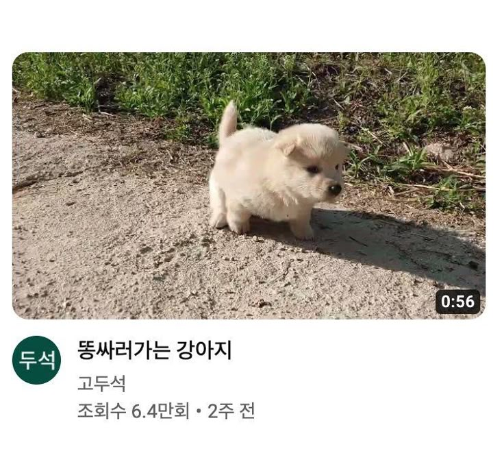 같이 가면 안될까