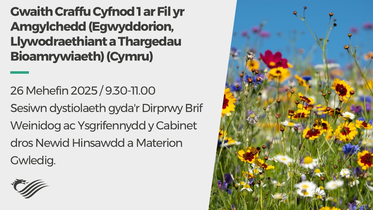 Pwyllgor Newid Hinsawdd, yr Amgylchedd a Seilwaith - Dydd Mercher, 26 Mehefin 2025 09.30-11.00.

Gwaith craffu Cyfnod 1 ar y Fil yr Amgylchedd (Egwyddorion, Llywodraethiant a Thargedau Bioamrywiaeth) (Cymru).

Gwyliwch yn fyw ar Senedd.tv 📺