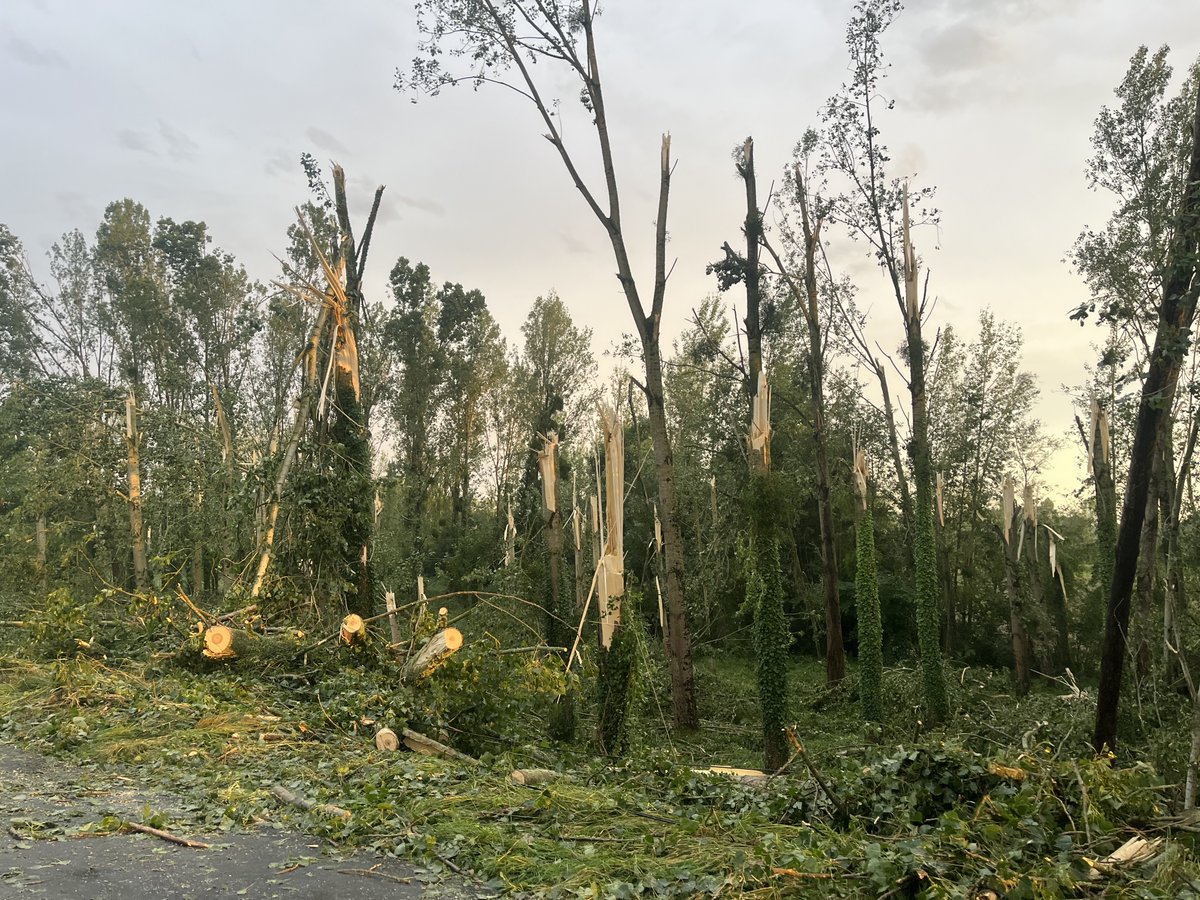 AssoMeteoCVDL's tweet photo. [Puissant phénomène venteux dans le Loir-et-Cher mercredi]

Autre phénomène venteux impressionnant observé dans le Sud du Loir-et-Cher, comme près de Châteauvieux, au Sud de Saint-Aignan et du @zoobeauval, sous un #orage supercellulaire, hier soir, mercredi 25 juin 2025.

Photos : Jérémy Métivier pour l'Association Météo Centre - Val de Loire.