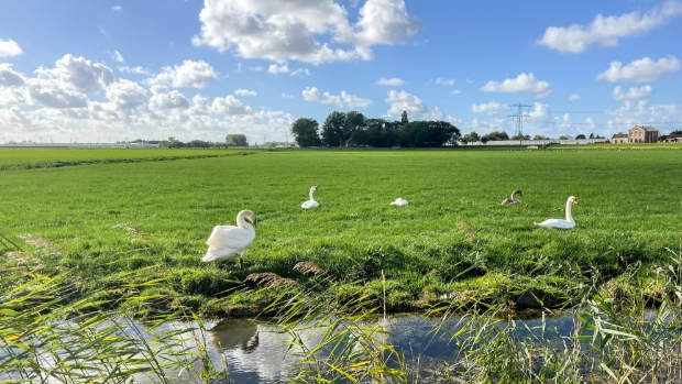 Droogte en watertekort: gezuiverd afvalwater als oplossing -  rodi.nl/westland/l/452…