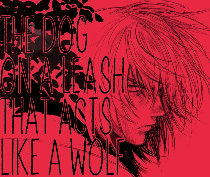 🌹🌹🌹 tweet media