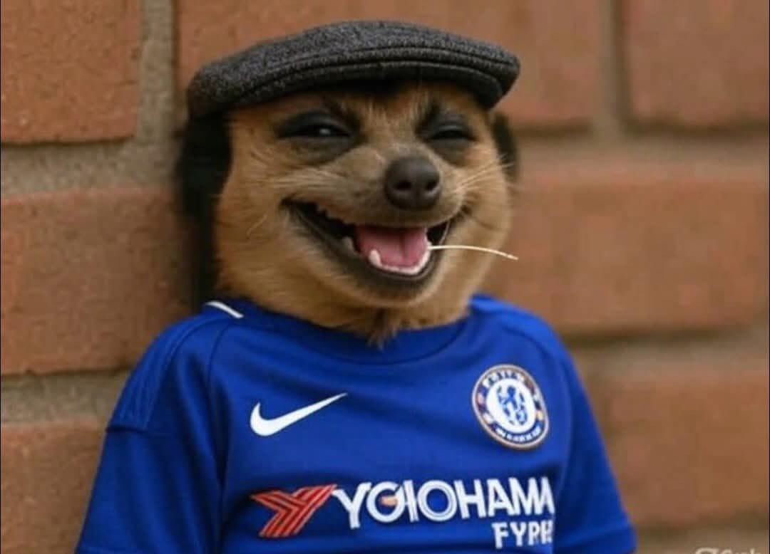 boye_engr's tweet image. PSG lost to Botafogo just to face Chelsea.

Chelsea then lost to Flamengo to dodge PSG.

Bayern Munich now lost to Benfica just to avoid Chelsea.
The cycle is completed. 😅