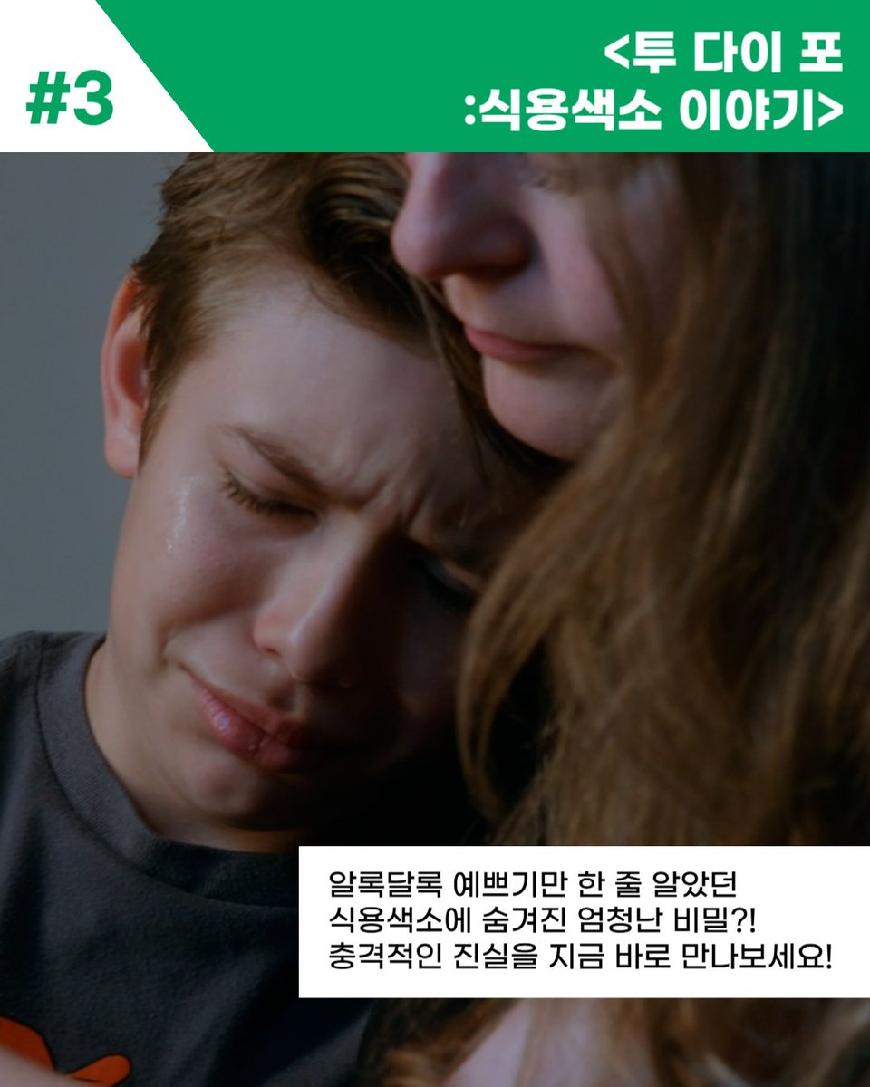 서울국제환경영화제(SIEFF) tweet media
