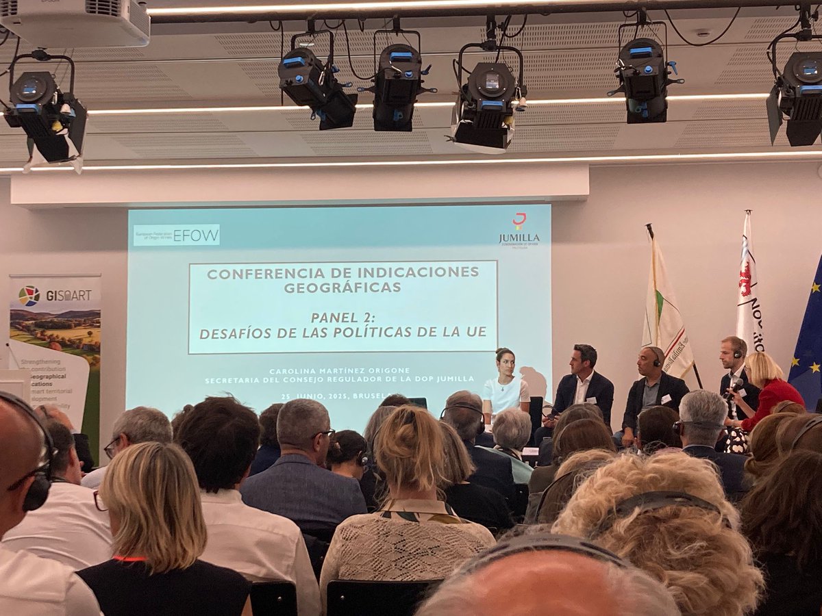 En la Conferencia Europea de Indicaciones Geográficas se ha puesto de relieve la extraordinaria diversidad de productos IG, reflejo del dinamismo 
y el compromiso del sector en toda #Europa
#vinoDO