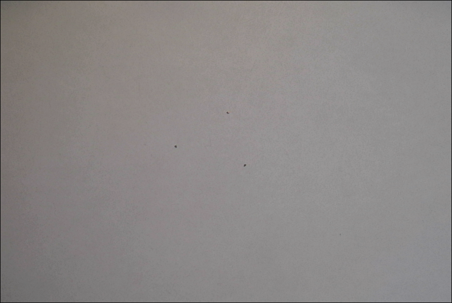 European Circuits Ltd tweet media