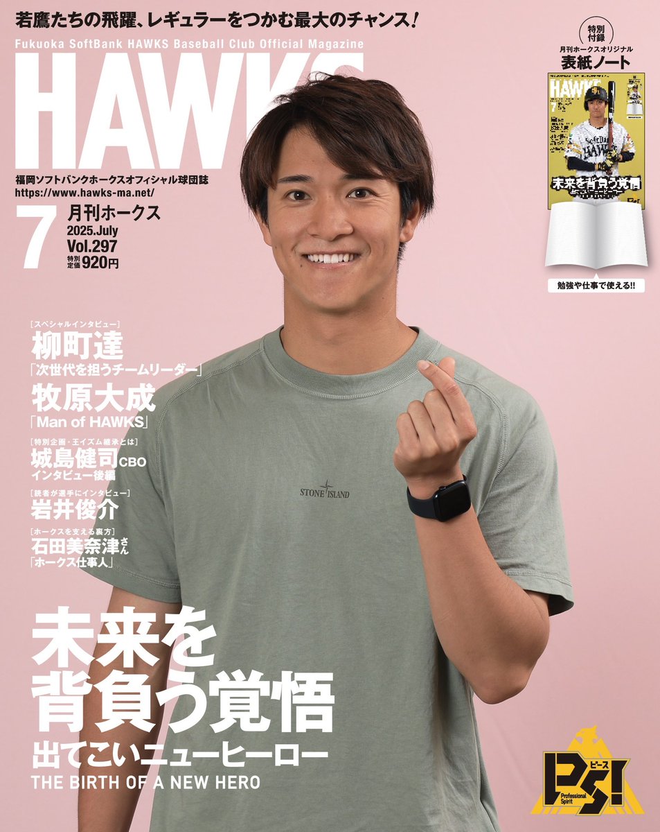 福岡ソフトバンクホークス　月刊ホークスDVD12枚+オマケ m23504939082_1.jpg?1737684992