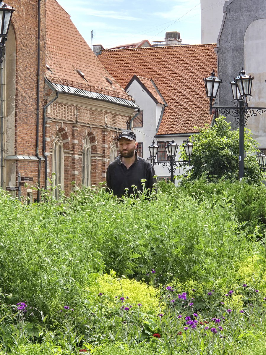 "Gardening" in the middle of old town. Such hard working individuals. Providing much needed fertilizer to our beautiful plants <a href="/RigasDome/">Rīga</a>