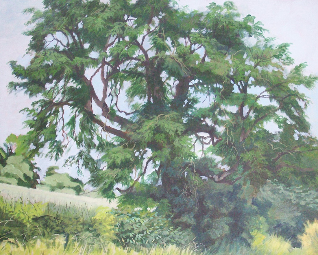 Two ash paintings delivered to the delightful Pensychnant Conservation Centre just outside Conwy. Exhibition opens 5th July do visit if you can! #art #ashtrees #painting #nature #ExhibitionPictures #acrylicpainting