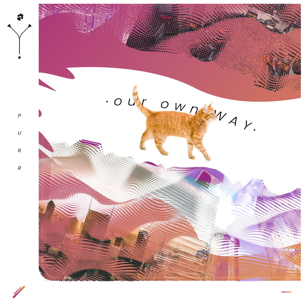 We're not lost - just not following.
$PUSS moves different. Always.