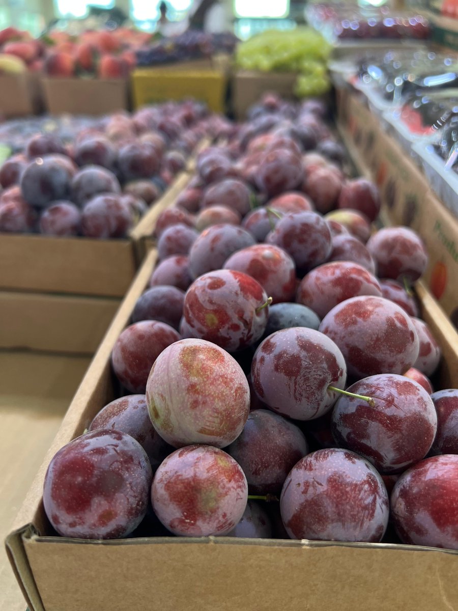 #صور
فواكه موسمية من محافظة #الطائف
تصوير: عبدالمحسن السفياني