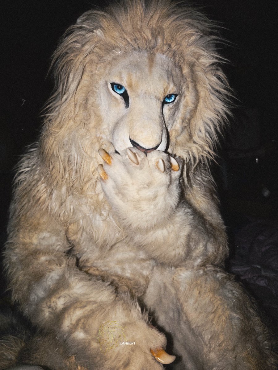 It’s <a href="/Shrubiya/">Dongo</a> !
#FursuitEveryday