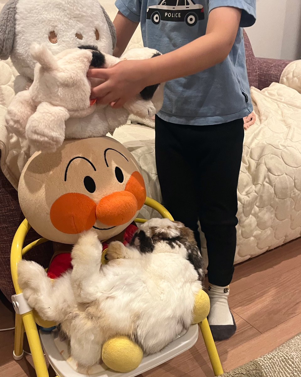 お気に入りがたくさん積まれてた
（すぐおろした）