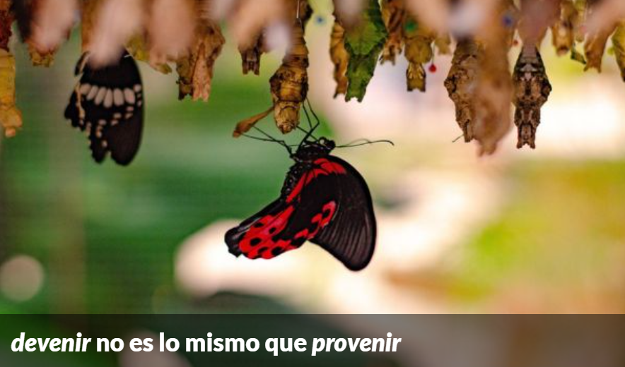 Para expresar que algo nace o se deriva de otra cosa, lo adecuado es emplear verbos como «provenir», pero no «devenir», que significa ‘convertirse en algo’. #recoFundéu

fundeu.es/recomendacion/…